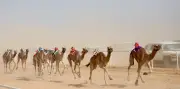 السعودية تستضيف قمة دولية للذكاء الاصطناعي بمشاركة 50 دولة