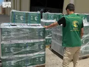 وصول الطائرة الإغاثية السعودية الـ84 إلى مطار العريش محملة بالمساعدات لغزة