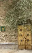 سائحة فرنسية تعيد اكتشاف سحر الجدار والورد في الطائف