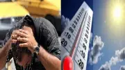ألمانيا تسجل درجات حرارة قياسية في مايو وتتوقع تحولاً جذرياً في الطقس