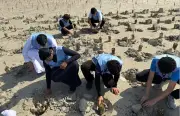 أمير الرياض يوجه بتطوير البنية التحتية لمواكبة النمو السكاني