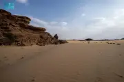 نجران: نقطة التقاء حيوية للقوافل عبر تاريخ الجزيرة العربية