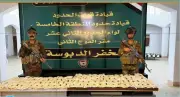 تطوير نظام جديد للطاقة المتجددة في المملكة
