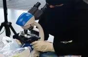 تطوير تقنيات الجيل الخامس يعزز التحول الرقمي في المملكة