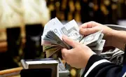 حساب المواطن يوضح إجراء التابع المسجل في التأمينات الاجتماعية