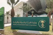 وزارة البيئة تصدر إرشادات صحية لاختيار الأضاحي لضمان جودة اللحوم