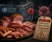 رسمياً: اللحوم المعالجة تسبب سرطان القولون والمستقيم