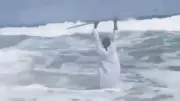 فيديو 