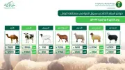 وفرة الأضاحي واستقرار أسعار المواشي مع رفع جاهزية أسواق الرياض لعيد الأضحى