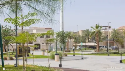 بلدية الخبر تزرع 505 أشجار ضمن مبادرة الخبر خضراء في مايو