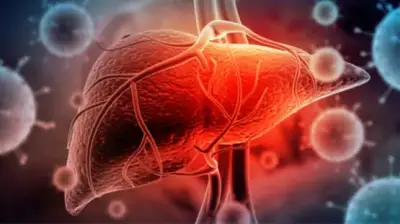 6 حقائق عن دهون الكبد وأحدث علاجاتها الواعدة