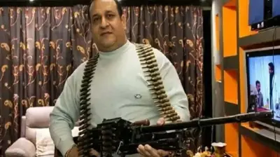 زلزال قضائي في مصر: أسلحة وحيوانات مفترسة وفيديوهات تعذيب تطيح بـ