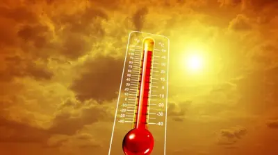 خبير مناخي يكشف أسباب تصدر الأحساء قائمة أشد مناطق المملكة حرارة صيفاً