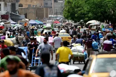 ازدحام على وجبات 