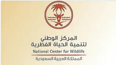 انتهاء المرحلة الثالثة من مبادرة تصحيح أوضاع الكائنات الفطرية غير المرخصة