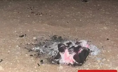ضبط مواطن لإشعال النار في محمية الملك عبدالعزيز الملكية