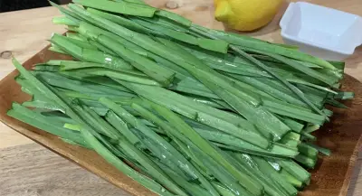 خبير عقاقير يكشف فوائد الكراث الصحية وتأثيره المضاد للبكتيريا