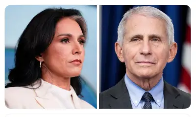 غابارد تكشف وثائق تورط فاوتشي في تمويل أبحاث ووهان المسببة لكورونا