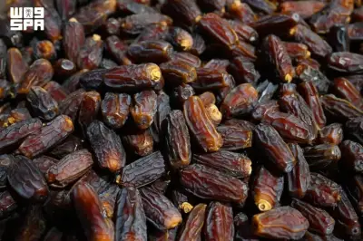 منطقة المدينة المنورة ثالثة وطنياً في إنتاج التمور بـ344 ألف طن سنوياً