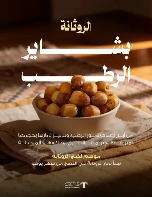 الروثانة تتصدر أسواق الرطب في المملكة بفضل قوامها الطري وحلاوتها المعتدلة