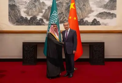 وزير الخارجية ونظيره الصيني يؤكدان أمن الملاحة البحرية