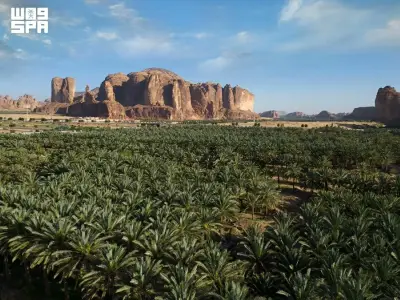السعودية تحتفل باليوم العالمي لمكافحة التصحر بإنجازات استعادة البيئة