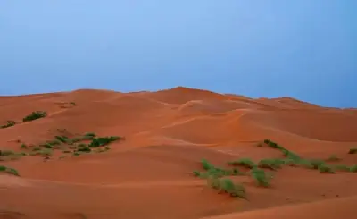 مناظر طبيعية آسرة في كثبان النفود الكبير برفحاء