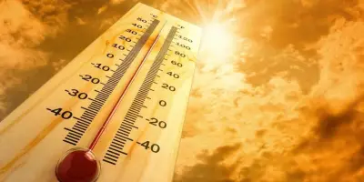 الأرصاد تحذر: حرارة شديدة تضرب المدينة المنورة حتى 47 درجة مئوية