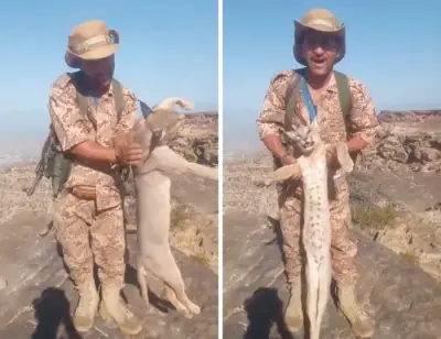 فيديو يمني يقتل وشقاً عربياً نادراً ويبرر فعلته بمهاجمة المواشي