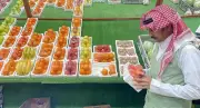 132 جولة رقابية لفرع البيئة بالباحة خلال عيد الأضحى لضمان سلامة الأضاحي