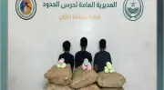 القبض على 4 مخالفين لتهريب القات والأقراص المخدرة في جازان وعسير