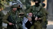الاحتلال يعتقل 41 فلسطينياً بينهم طالبات ويحرق ممتلكات زراعية بالضفة