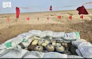 مشروع مسام ينتزع 798 لغماً وذخيرة غير منفجرة في اليمن خلال أسبوع