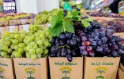 فواكه الباحة 