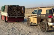 ضبط مواطن لنقل حطب محلي في محمية الأمير محمد بن سلمان