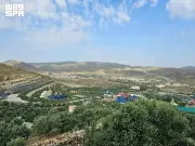 السياحة الزراعية المستدامة تبرز كوجهة ريفية سعودية مبتكرة