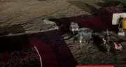 ضبط مواطن لإشعال نار في منطقة غير مخصصة بحائل