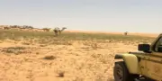 ضبط مخالفين لاستغلال الرواسب والرعي ودخول المركبات بالمناطق المحمية