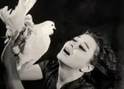 معرض 