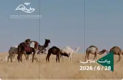محمية الإمام عبد العزيز: الرعي الموسمي مقتصر على حاملي التصاريح فقط
