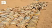 مشروع مسام ينتزع 2045 لغمًا في اليمن خلال أسبوع