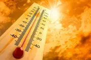 أمير الرياض يوجه بتشجير 500 موقع وإعادة تأهيل 12 متنزهاً