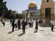 اقتحام المسجد الأقصى واعتقال 11 فلسطينياً بالضفة