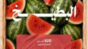 البطيخ يتصدر قائمة الفواكه الصيفية في المملكة بإنتاج 620 ألف طن سنويًا