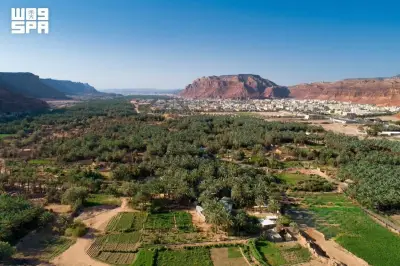 انطلاق موسم خيرات العلا الزراعي بدعم 130 ألف طن تمور سنوياً