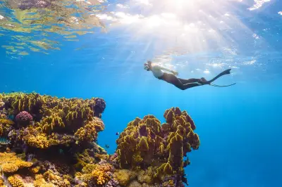 الغوص في البحر الأحمر: تجربة استثنائية بين الشعاب المرجانية والجزر البكر