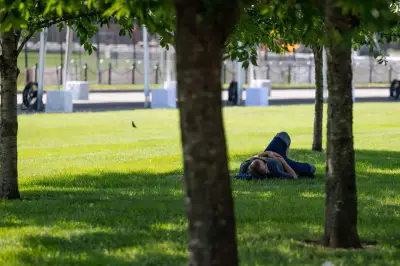 موجة حر شديدة تلغي فعاليات عيد الاستقلال في أمريكا وتؤثر على 185 مليون شخص