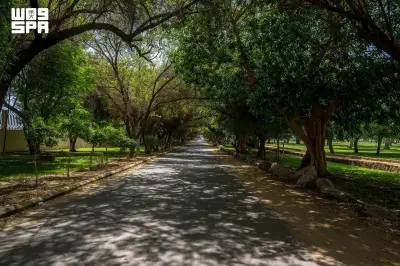 متنزه الملك فهد بنجران يضم 35 ألف شجرة معمرة في واحة خضراء