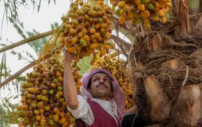 أمير نجران يوجه بتوفير مساكن بديلة لمتضرري السيول وتقديم الدعم اللازم