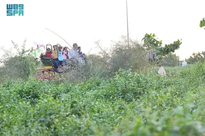 مزارع جازان الريفية وجهة سياحية تجمع الترفيه والتثقيف الزراعي